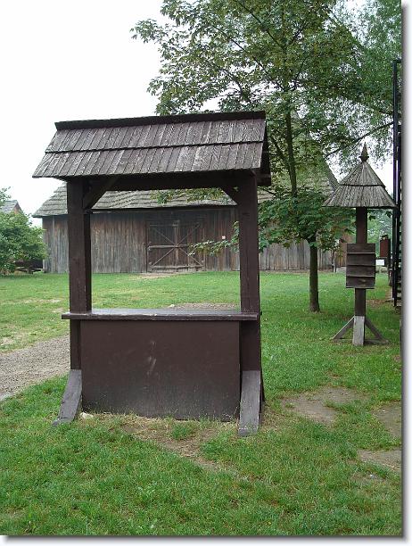 Nast\u0119pne zdj\u0119cie